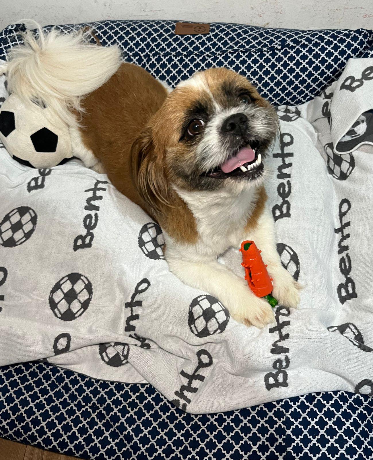 Manta Personalizada Pet - Imagem 3