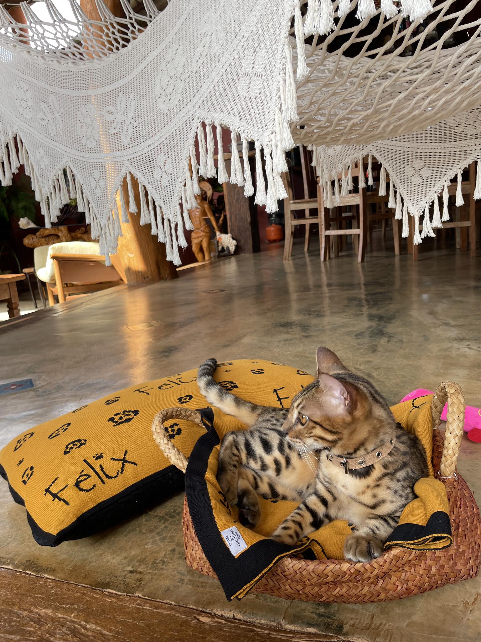 Manta Personalizada Pet - Imagem 5