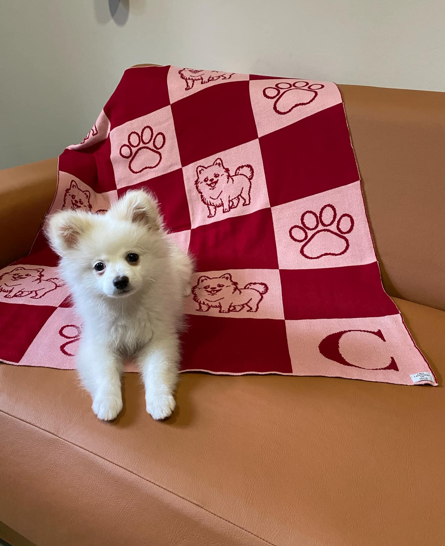 Manta Personalizada Pet